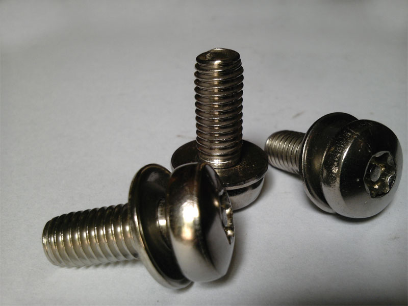 Stainless steel plum blossom anti-theft screw