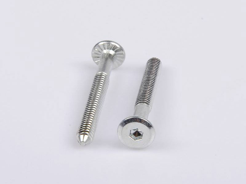 Rivet screw